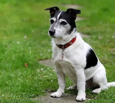 Jordi & Lara By Appartementhaus Theresia Σπίτι διακοπών *