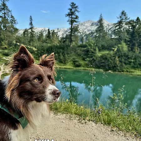 Jordi & Lara By Appartementhaus Theresia Dom wakacyjny *