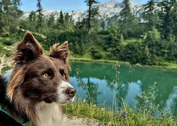 Jordi & Lara By Appartementhaus Theresia بيت للعطل *